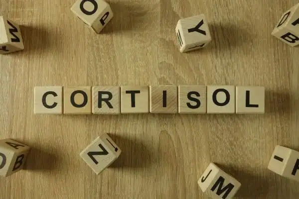 The Hidden Connection: How Stress Shapes Your Fitness and Body Composition 2 Image saying "Cortisol" and how stress Deal impacts your wellbeing and bodies shape